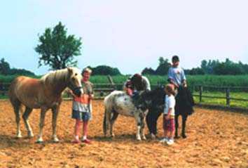 Familienurlaub, Bauernhofurlaub, Reiterhof, Ostsee